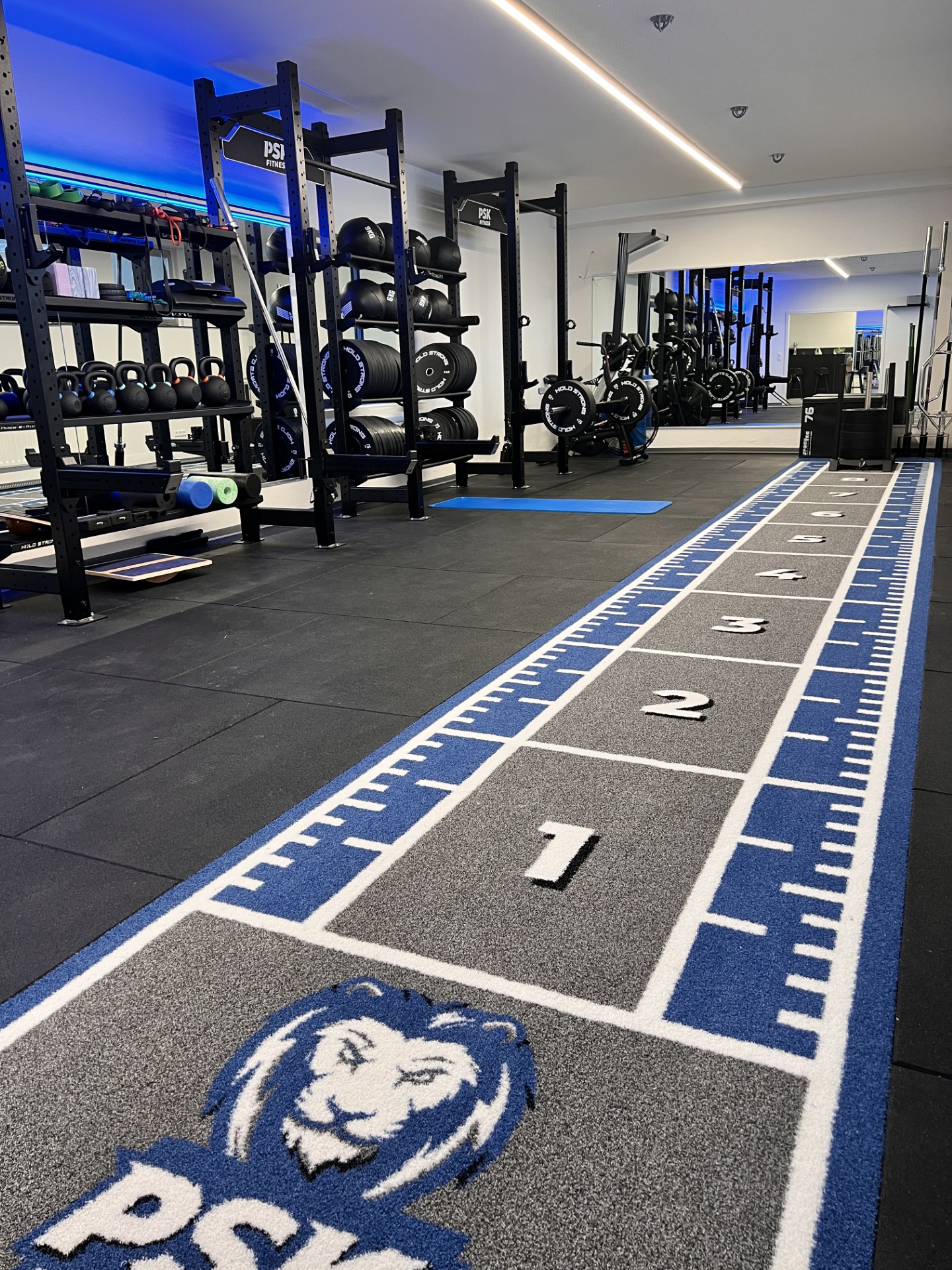 Functional Area im PSK Fitnessstudio Karlsruhe