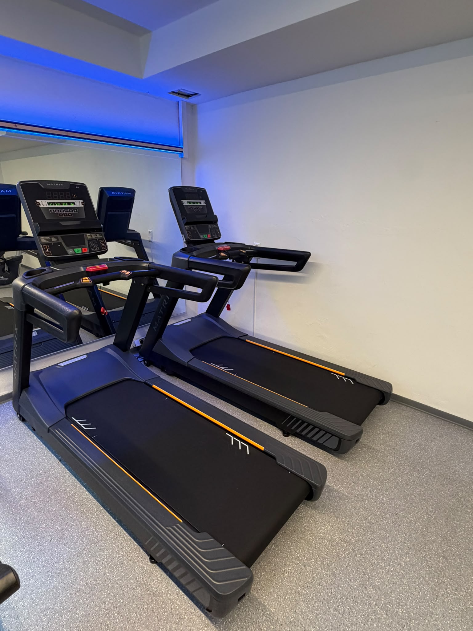 Laufbänder im Cardio-Bereich des PSK Fitnessstudios Karlsruhe